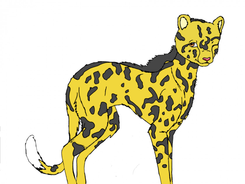 Cheetah Drawings Images Cat Lion Drawing Clip Art PNG