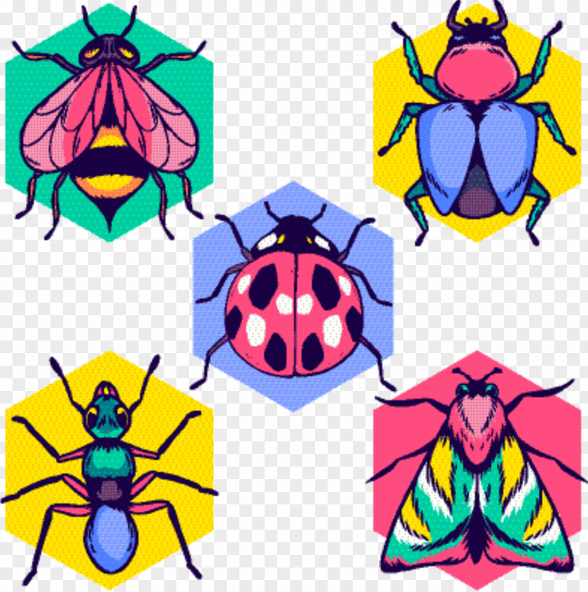 Jewel Bugs Beetles Symmetry Insect PNG