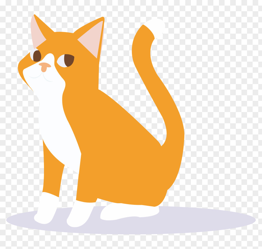 Kitten Whiskers Domestic Short-haired Cat PNG