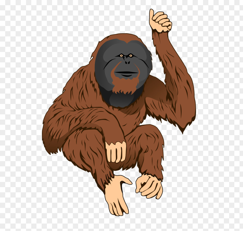 Ape The Orangutan Bornean Clip Art PNG