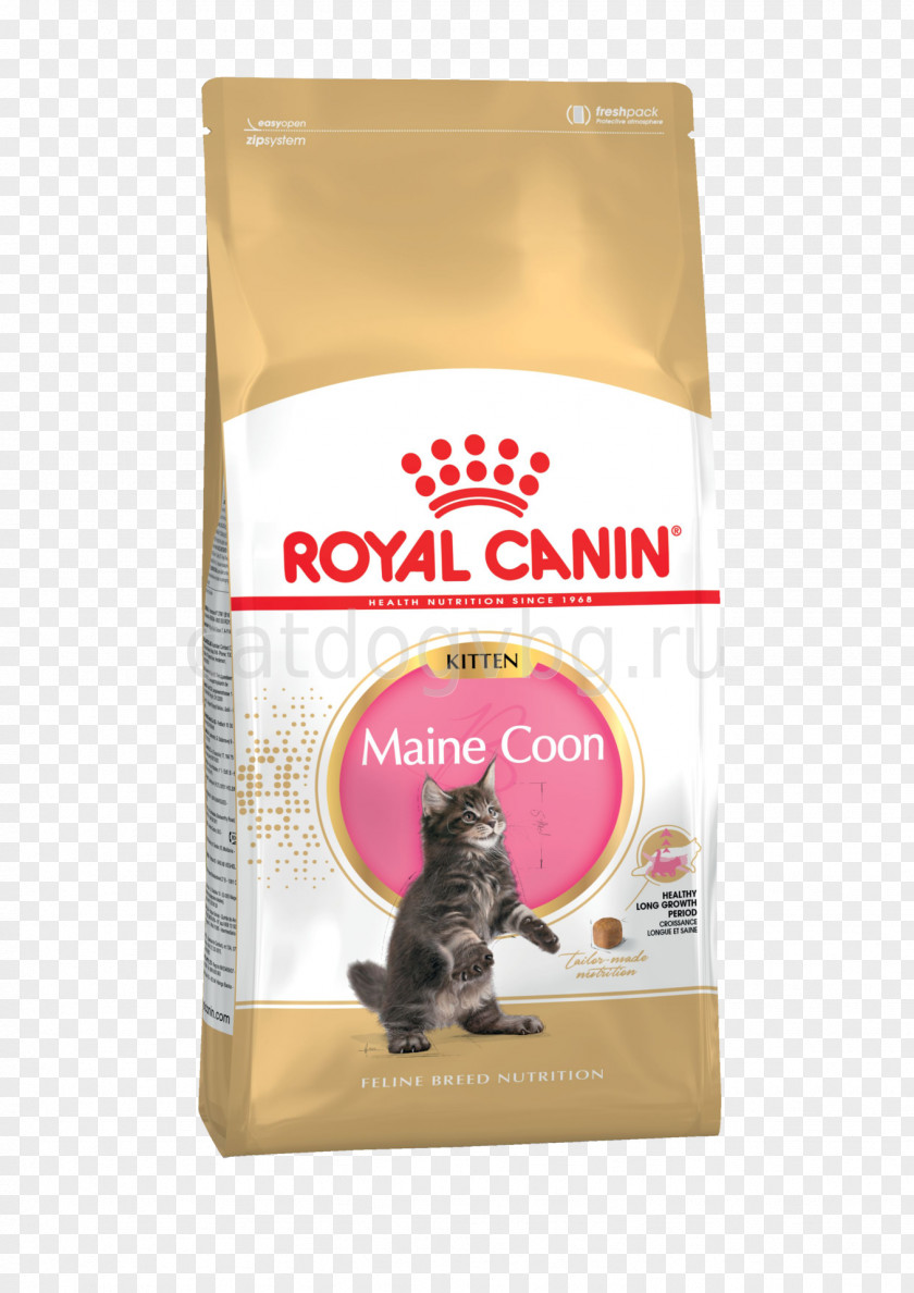 Dog Maine Coon Persian Cat Food British Shorthair Siamese PNG
