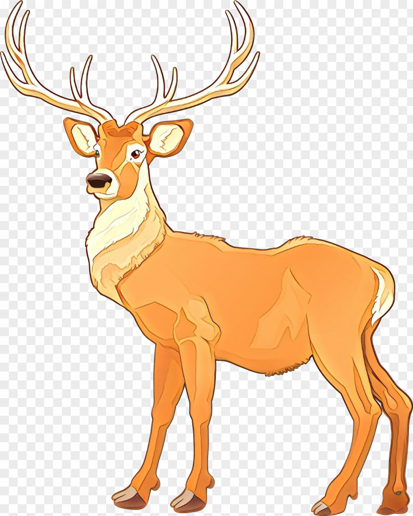Elk Antelope Reindeer PNG