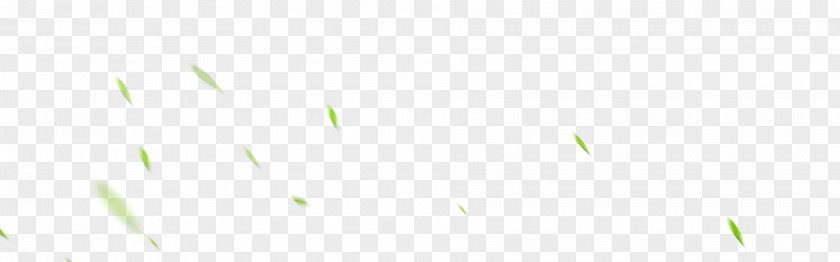 Green Bamboo Leaves Floating Material Leaf PNG