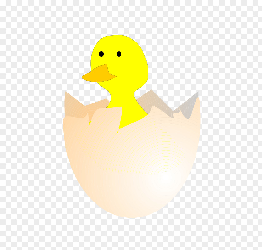 Hatching Chicken Duck Kifaranga Clip Art PNG