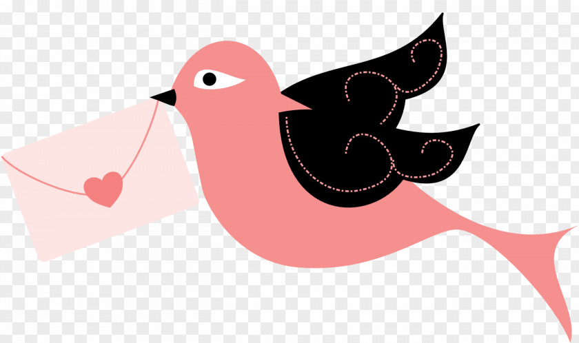Kiss Lovebird Clip Art PNG