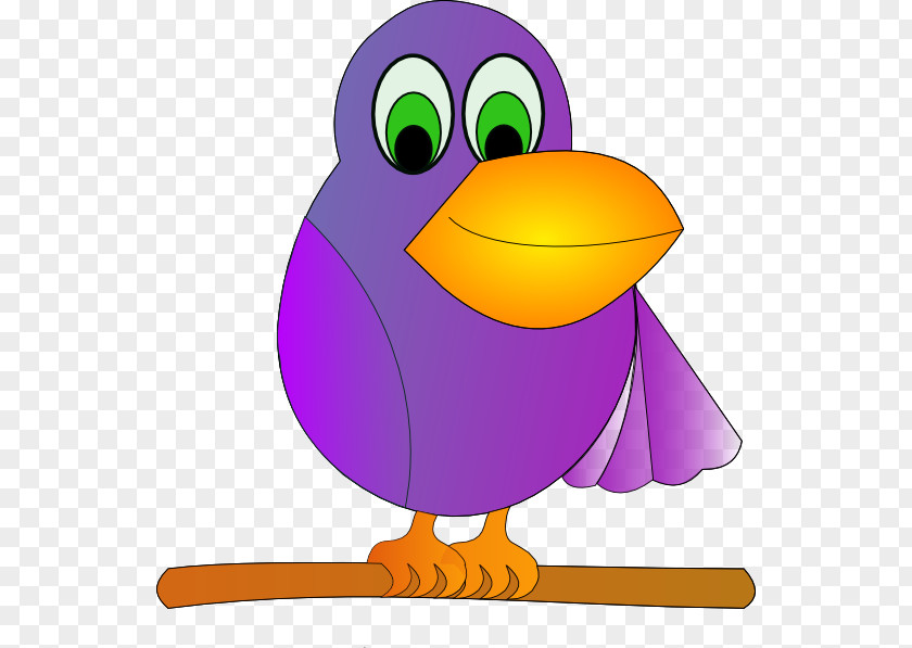 Parrot Bird Cartoon Clip Art PNG