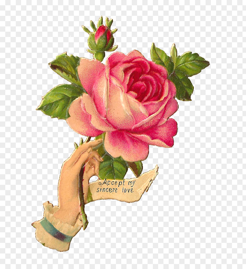 Sincere Rose Vintage Clothing Clip Art PNG