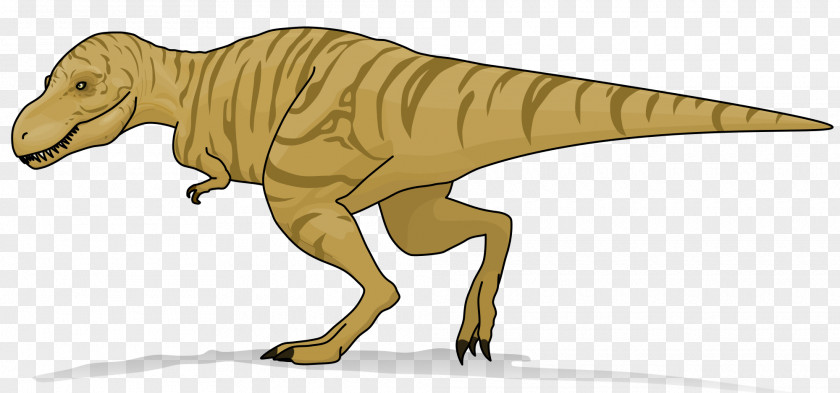 T Rex Tyrannosaurus Triceratops Velociraptor Tyrannosauridae Dinosaur PNG