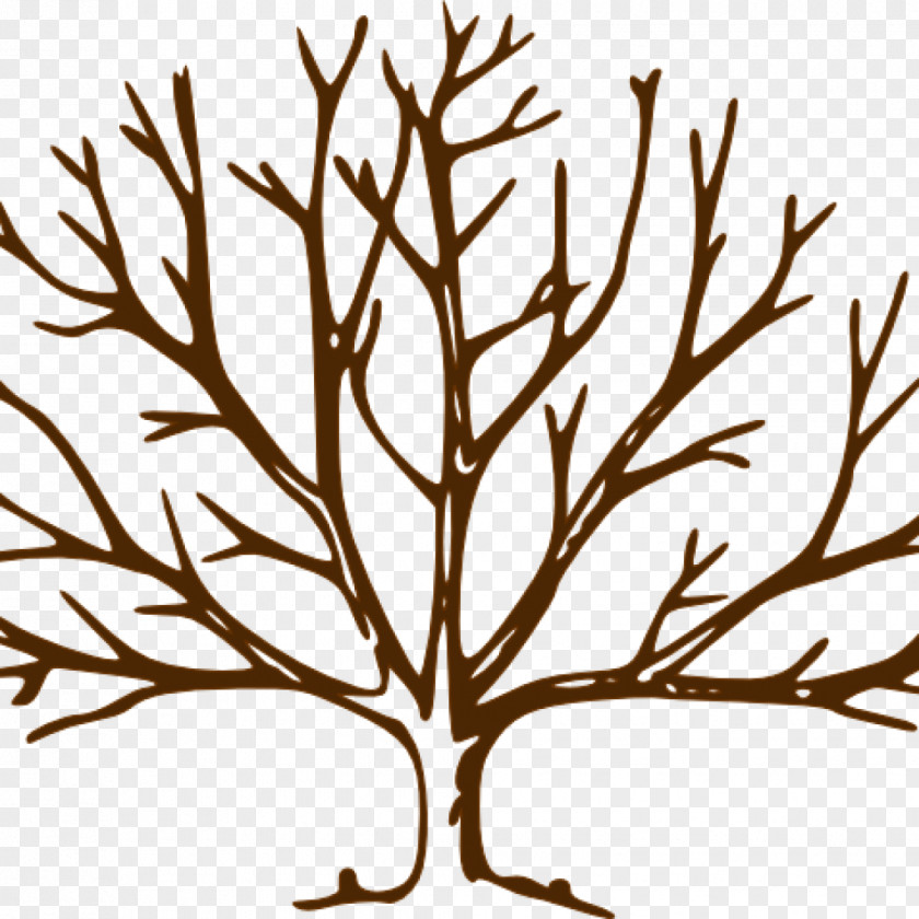 Tree Clip Art Fall Trunk Branch PNG