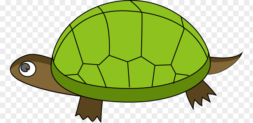 Turtle Tortoise Clip Art PNG