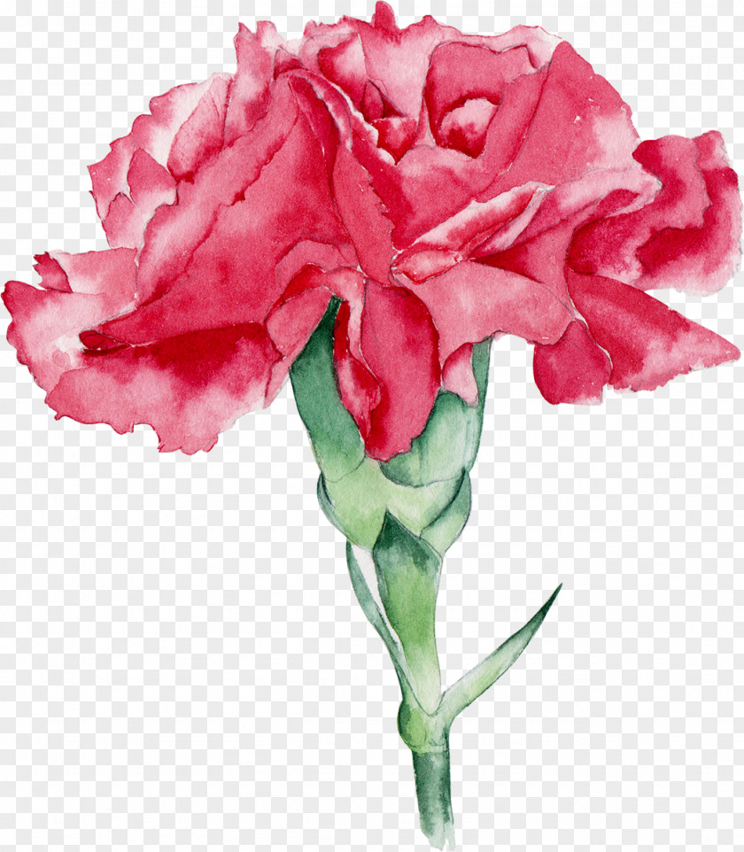 Watercolor Flowers Watercolor: Painting Garden Roses PNG