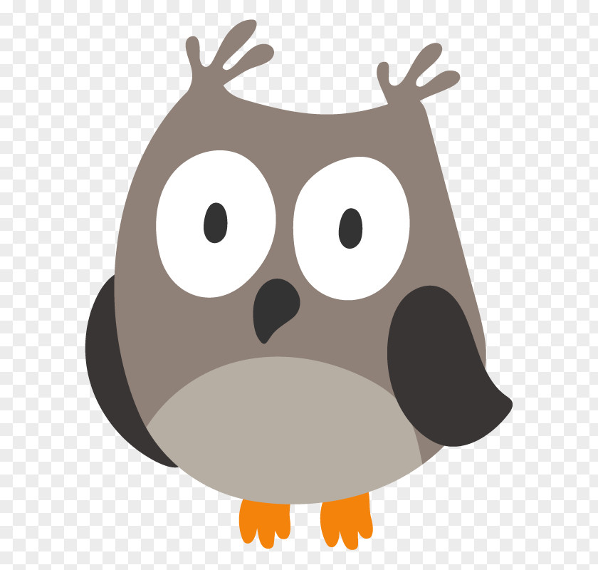 Bird Support Owl Vector Graphics Clip Art Illustration PNG