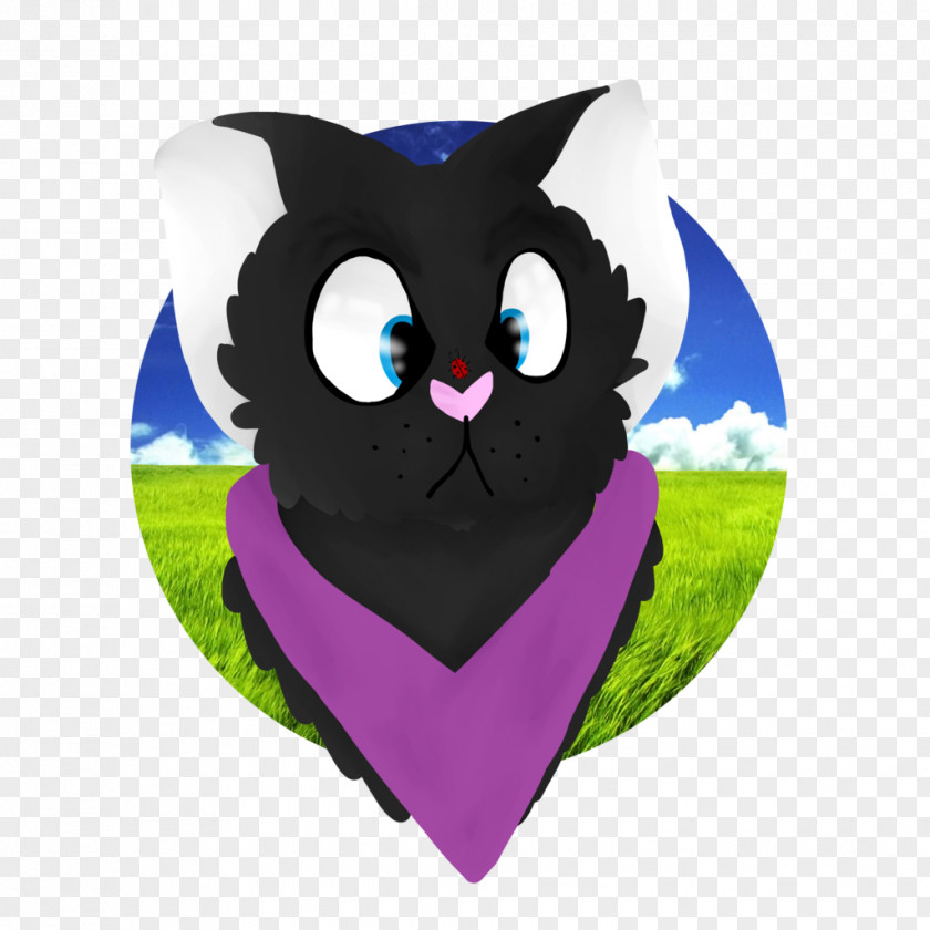 Cat Whiskers Owl Snout PNG