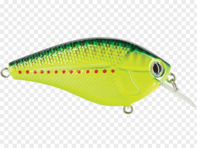 Design Spoon Lure Fish PNG