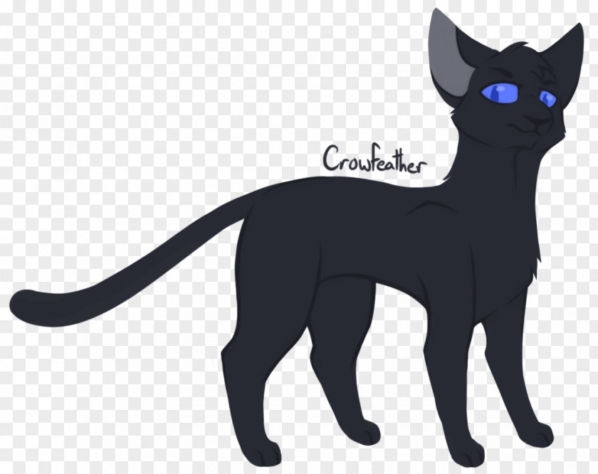 Drawing Feather Black Cat Domestic Short-haired Whiskers Warriors PNG