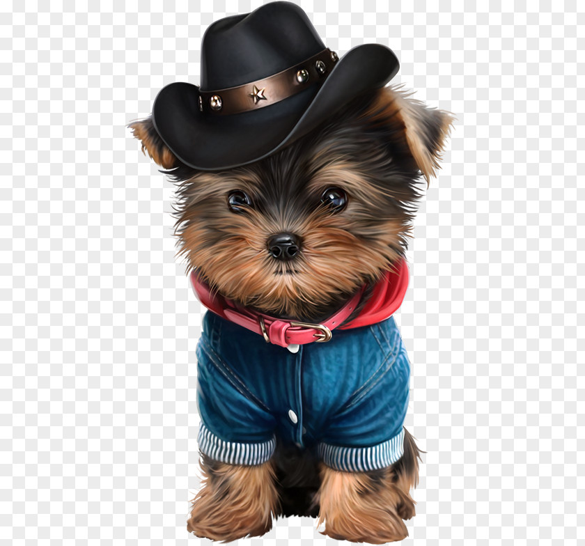 Soft Toy Yorkshire Terrier Puppy Dog Breed Clip Art PNG