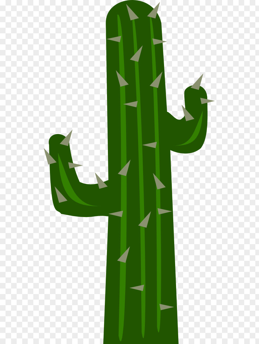 Cactus Cactaceae Clip Art PNG