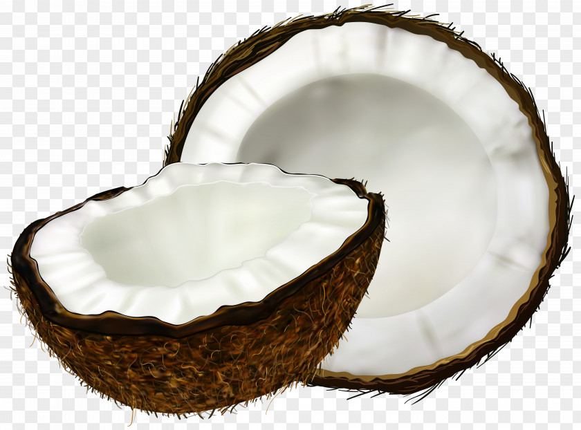 Coconut Transparent Clip Art Image Water Milk Cake PNG