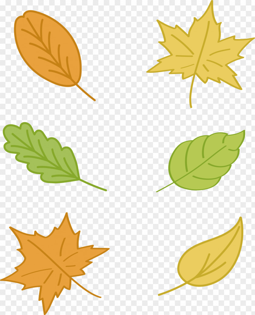 Color Hand-painted Autumn Leaves Maple Leaf Euclidean Vector Yellow PNG