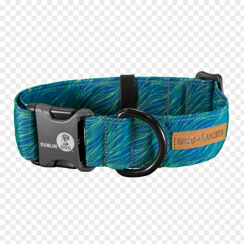 Dog Collar Cat Veterinarian PNG