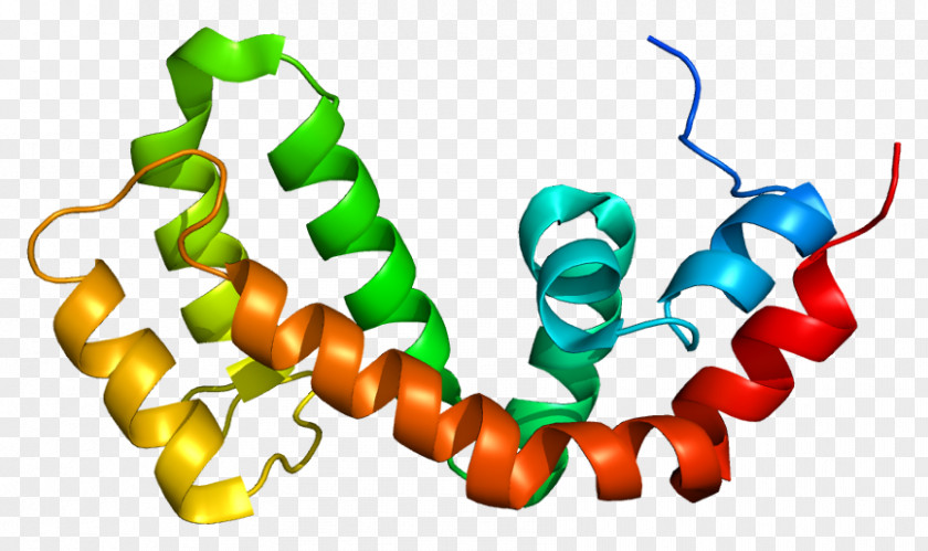 RGS9 Regulator Of G Protein Signaling RGS4 Gene PNG