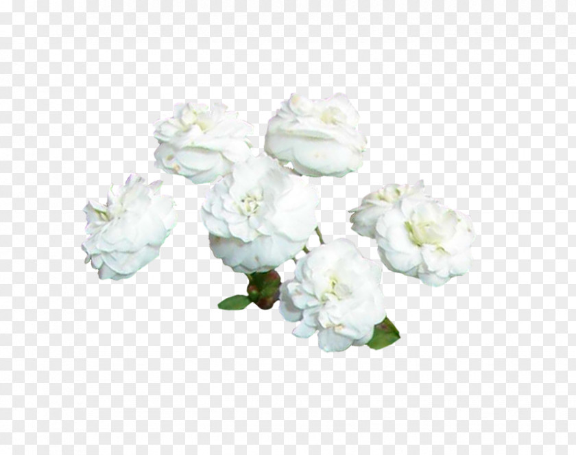 Vase Floral Design Cut Flowers Porcelain PNG
