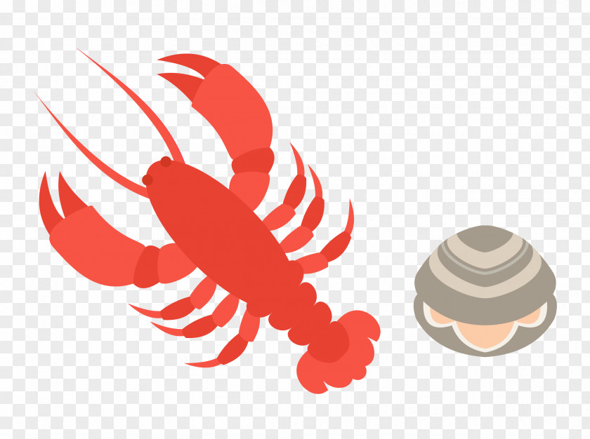 Vector Shrimp Seashell Material Seafood Oyster Menu Icon PNG