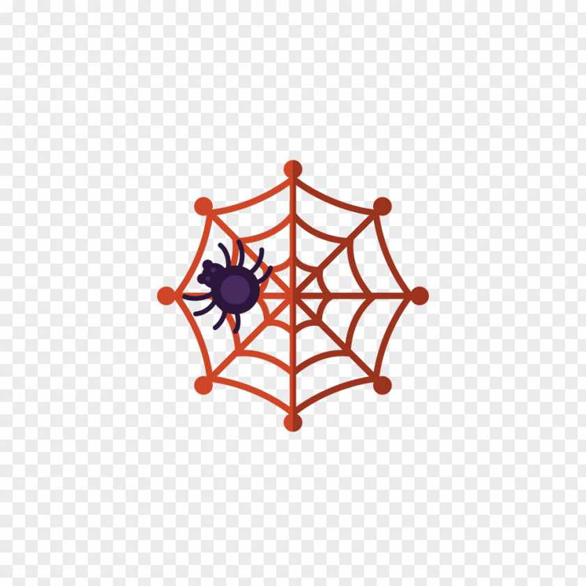 Cartoon Spider Web Child Coloring Book Drawing Minibeast PNG