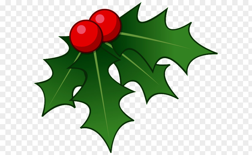 Christmas Common Holly Clip Art PNG