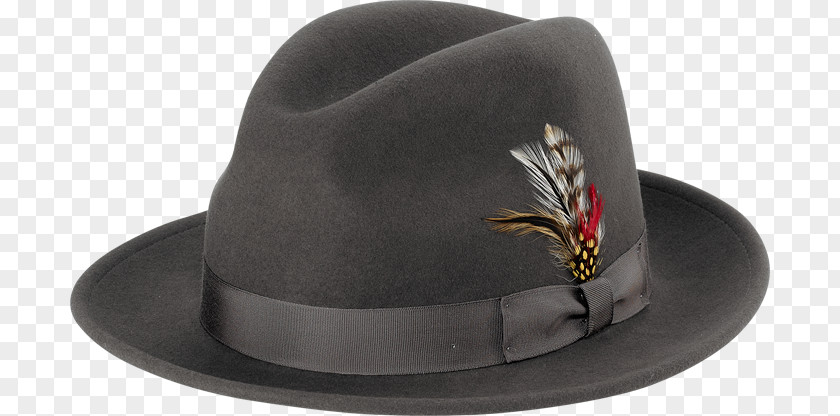 Fedora Product Grey PNG