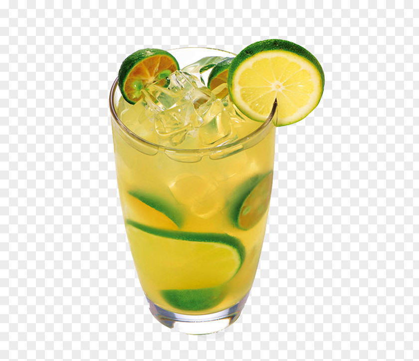 Frozen Kumquat Lemon Drink Iced Tea PNG