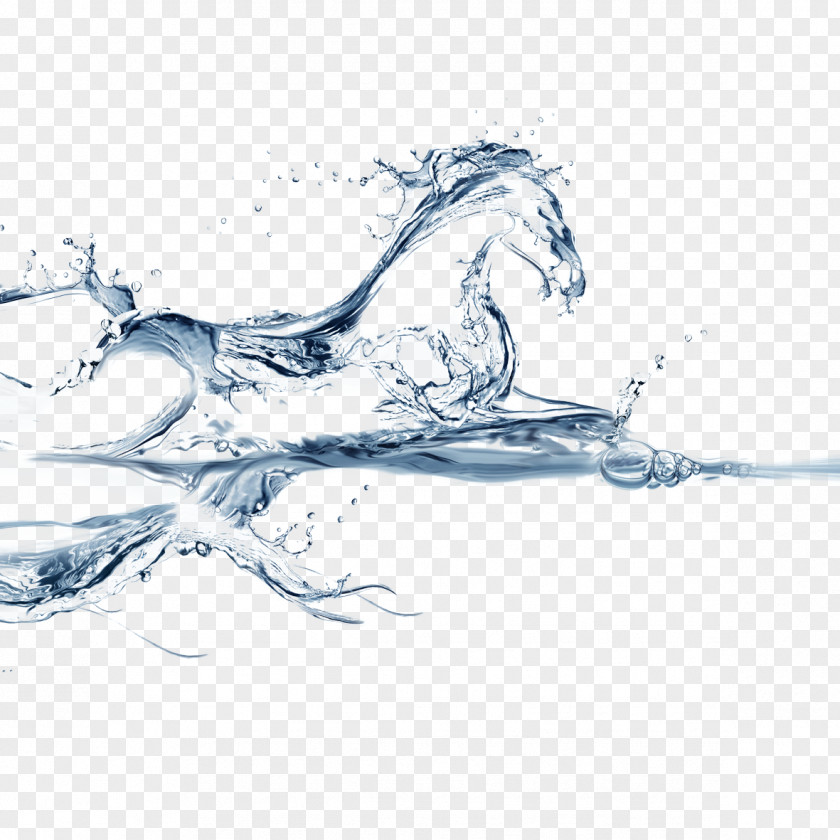 Horse In Water Wallpaper PNG