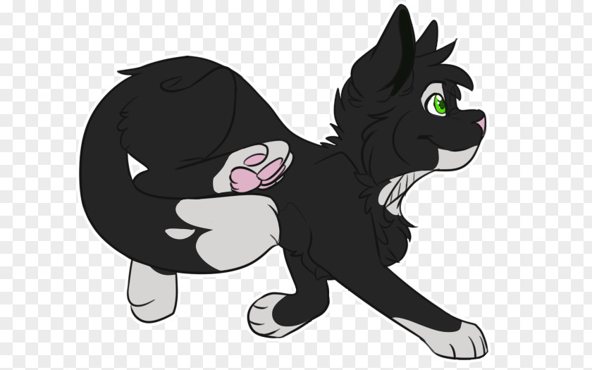 Kitten Whiskers Black Cat Dog Horse PNG