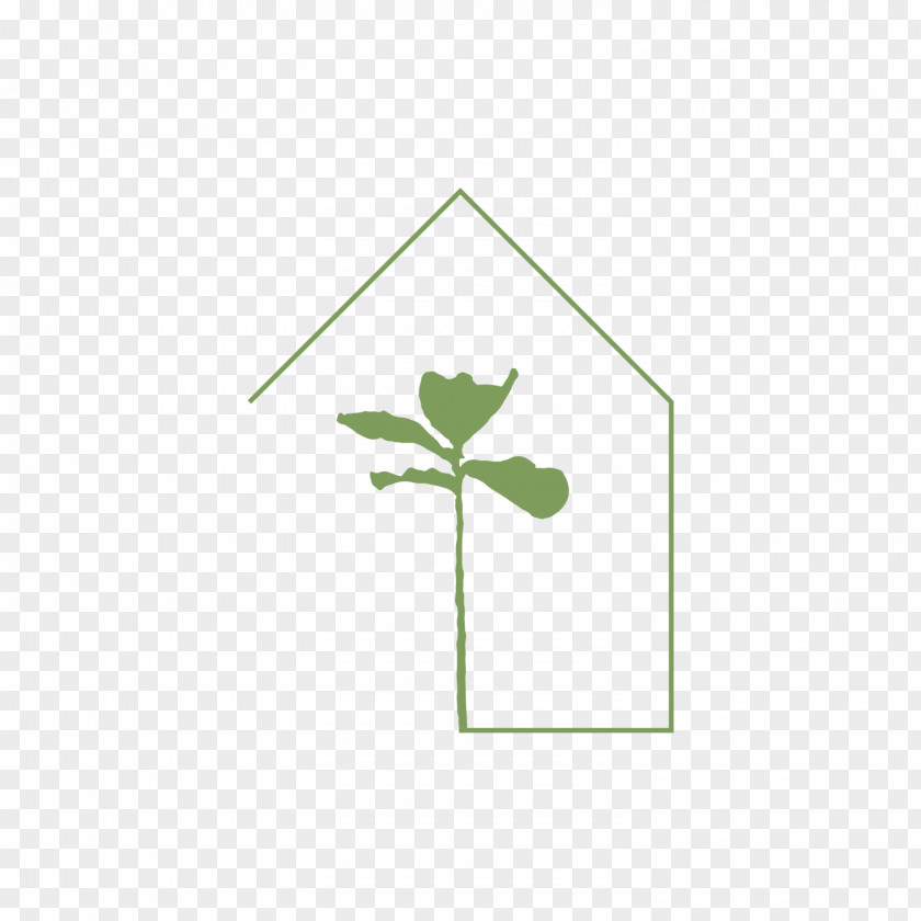 Leaf Font Plant Stem Line PNG