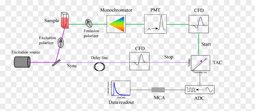 Schematic Light Ultrafast Laser Spectroscopy Time-resolved Raman PNG