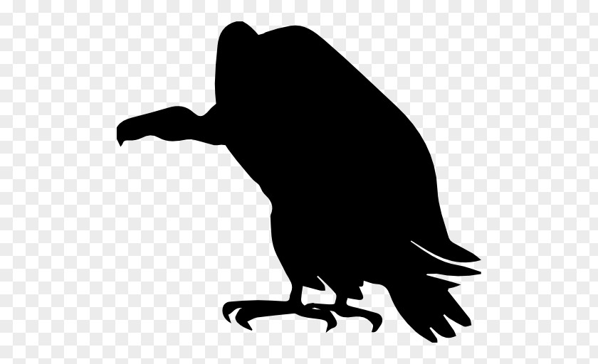 Silhouette Turkey Vulture Clip Art PNG