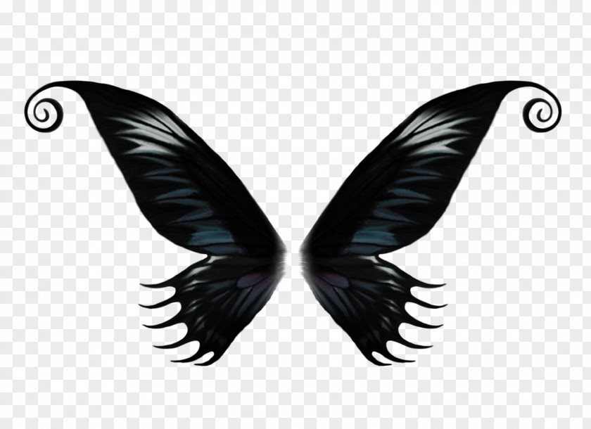 Butterfly RGB Color Model PNG