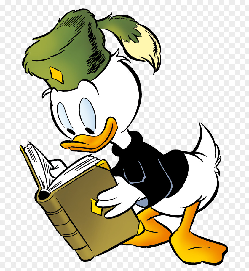 Duck Donald The Junior Woodchucks Goose Cygnini PNG