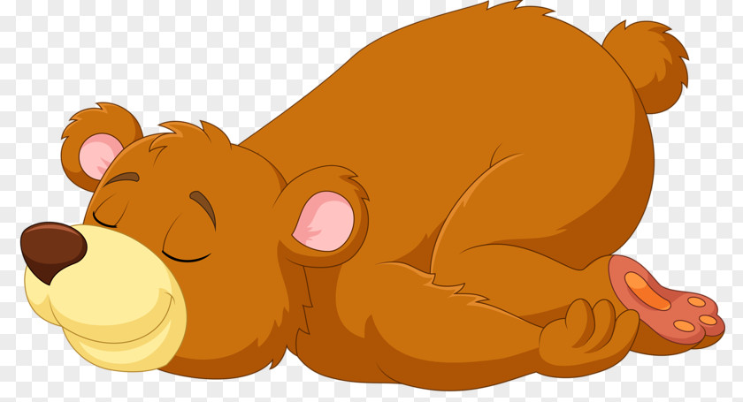 Sleeping Bear Sleep In Non-human Animals Illustration PNG