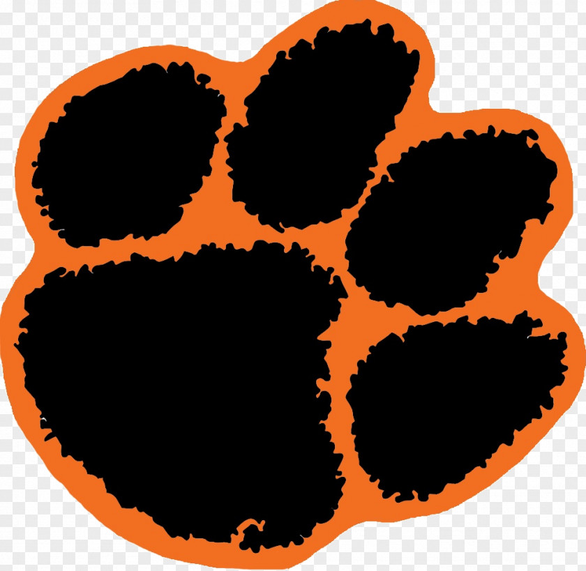 Tiger Clemson University Tigers Football Auburn American PNG