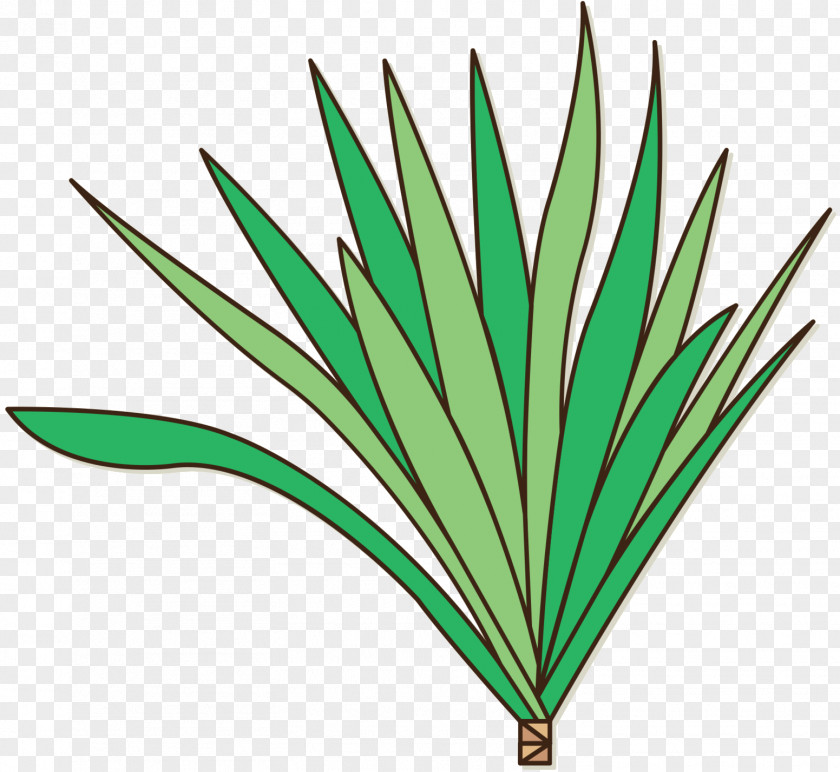 Leaf Plant Stem Line Tree Plants PNG