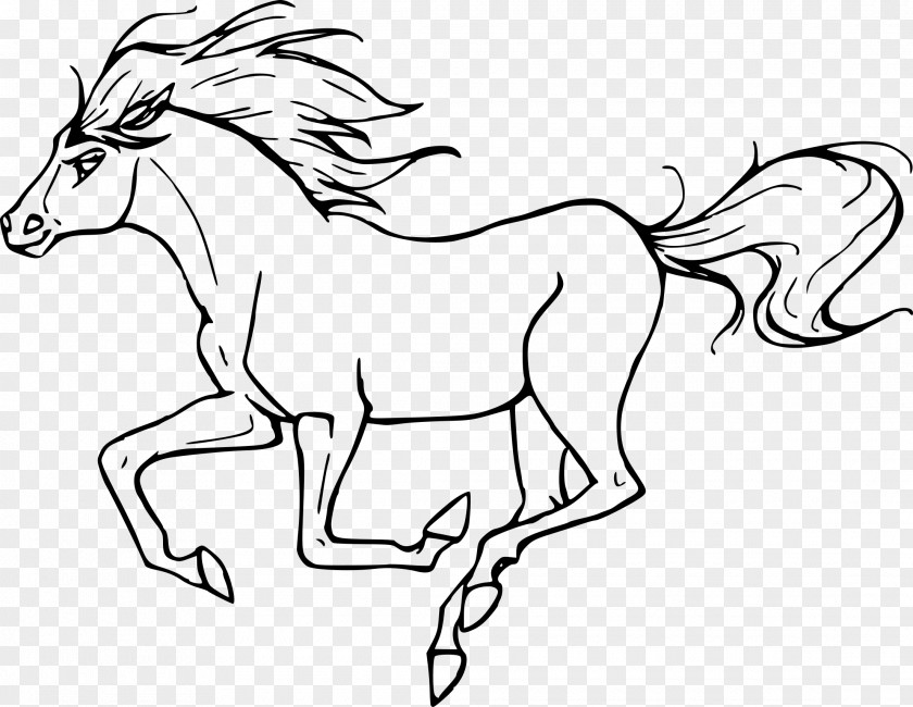 Mustang Coloring Book Pony Equestrian Adult PNG