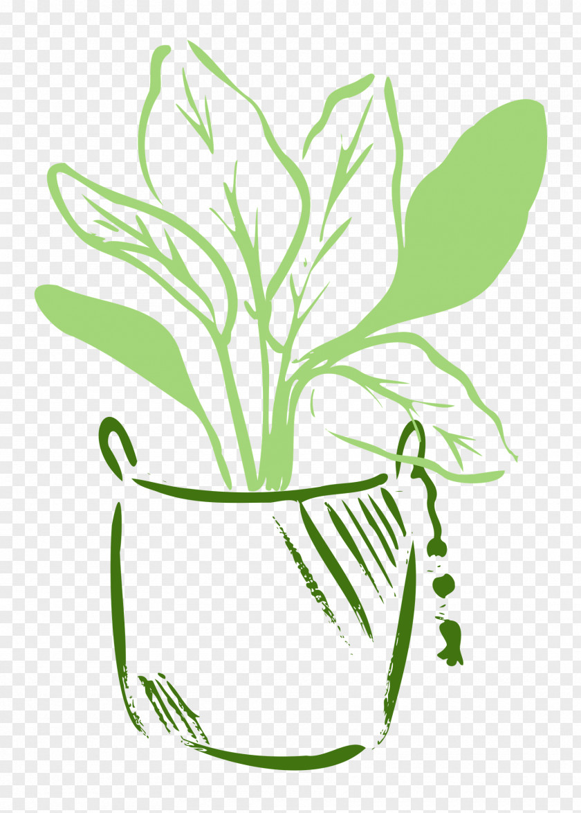 Plant Pot Garden PNG