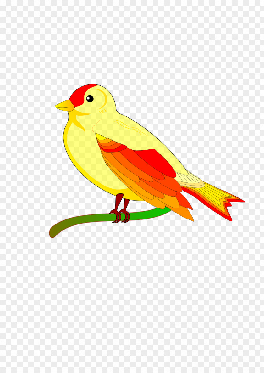 Scalawag Cliparts Bird Flight Free Content Clip Art PNG