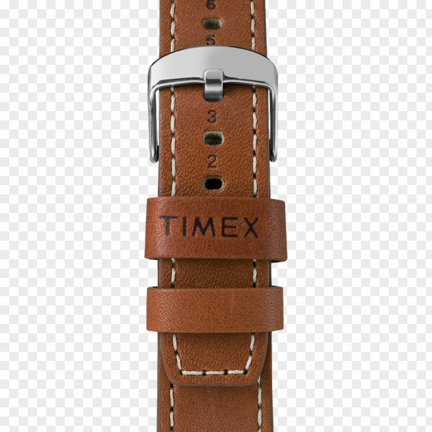 Watch Strap Timex Group USA, Inc. The Waterbury Chronograph PNG