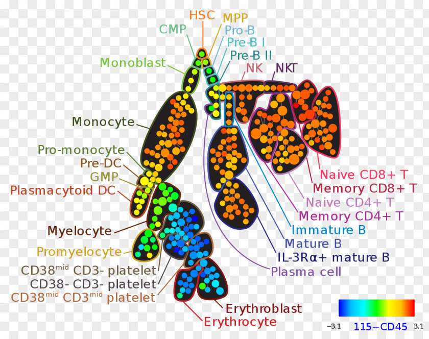 Flow Cytometry Mass Bioinformatics High Throughput Biology PNG