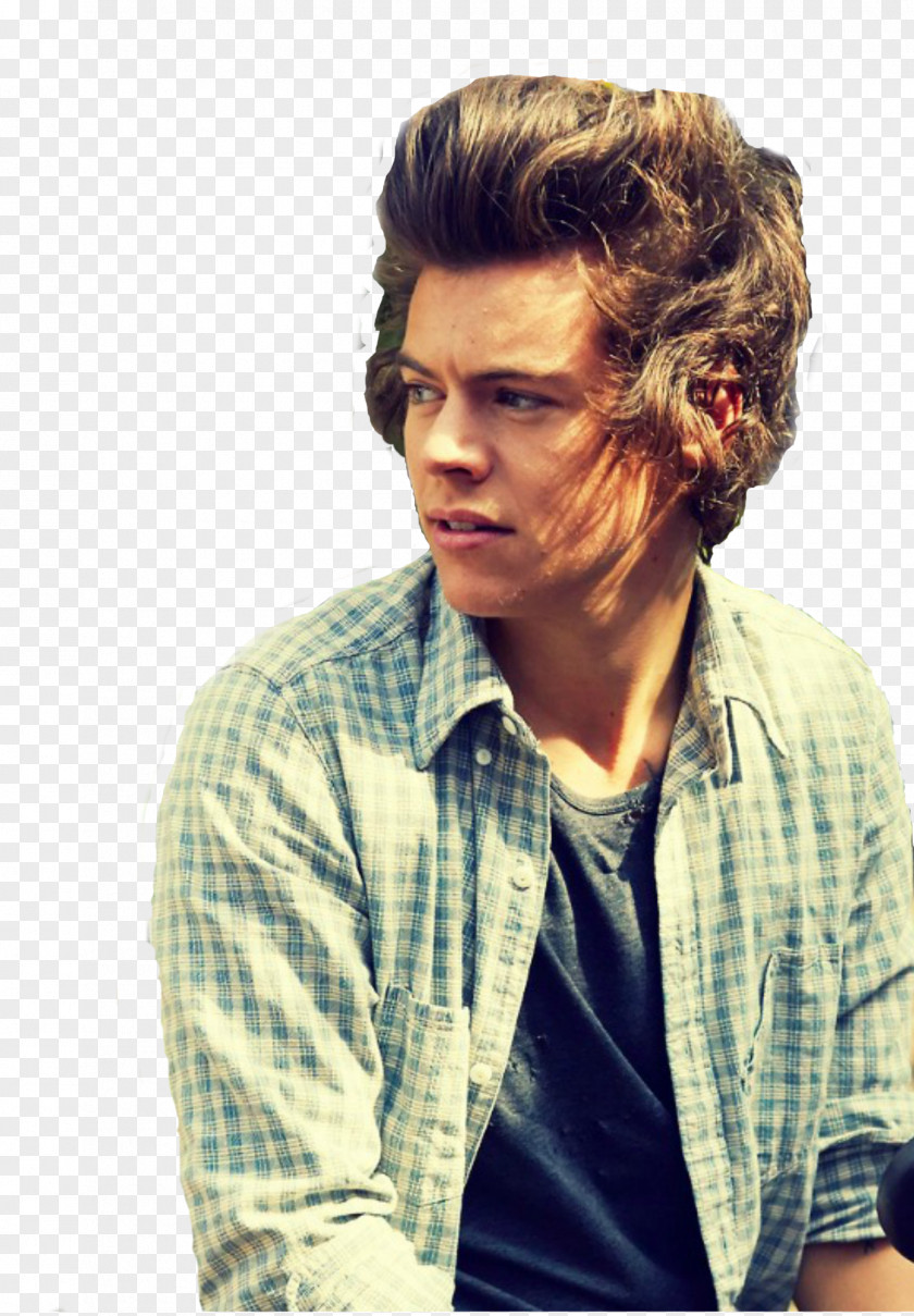 One Direction Harry Styles Midnight Memories Photography Love PNG