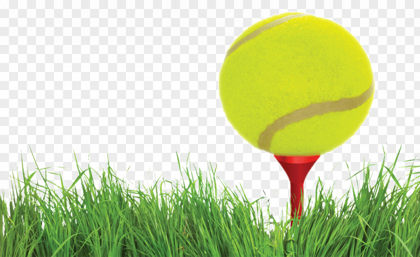 Golf Balls Tennis PNG