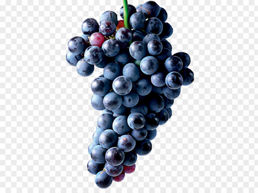 Grape Common Vine Zante Currant Seedless Fruit PNG