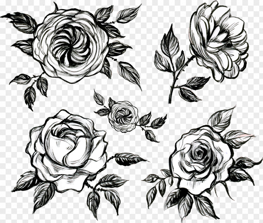 Hand Painted White Mountain Tea Visual Arts Floral Design Rose PNG